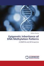 Epigenetic Inheritance of DNA Methylation Patterns