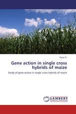 Gene action in single cross hybrids of maize