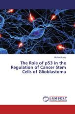 The Role of p53 in the Regulation of Cancer Stem Cells of Glioblastoma