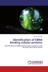Identification of EBNA binding cellular proteins