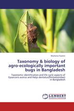 Taxonomy & biology of agro-ecologically important bugs in Bangladesh