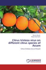 Citrus tristeza virus on different citrus species of Assam
