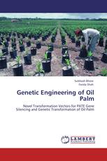 Genetic Engineering of Oil Palm