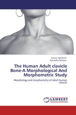 The Human Adult clavicle Bone-A Morphological And Morphometric Study
