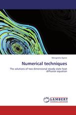 Numerical techniques
