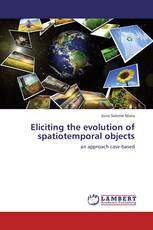 Eliciting the evolution of spatiotemporal objects