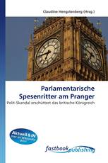 Parlamentarische Spesenritter am Pranger