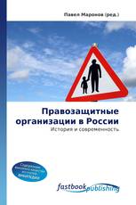 Правозащитные организации в России