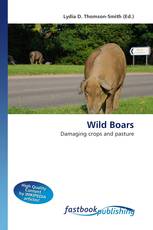 Wild Boars
