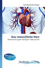 Das menschliche Herz
