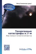 Техногенные катастрофы в 21-м
