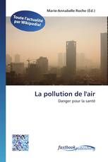 La pollution de l'air