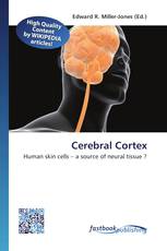 Cerebral Cortex