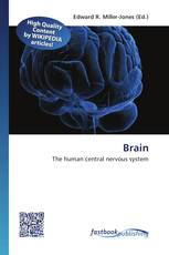 Brain