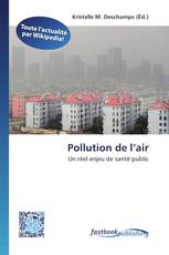 Pollution de l’air