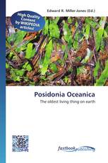 Posidonia Oceanica