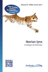 Iberian lynx