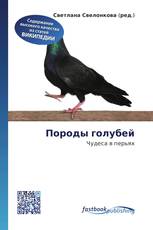 Породы голубей