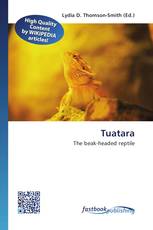 Tuatara