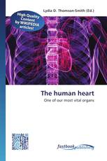 The human heart