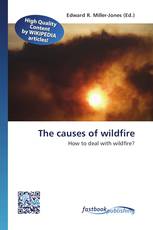 The causes of wildfire