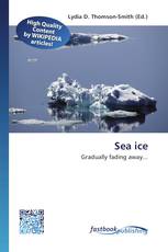 Sea ice