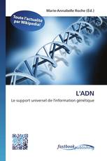 L'ADN
