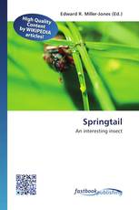 Springtail