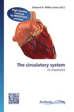 The circulatory system