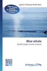 Blue whale