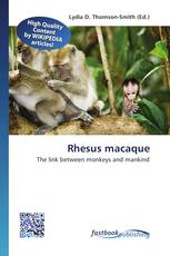 Rhesus macaque