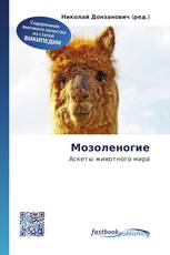 Мозоленогие