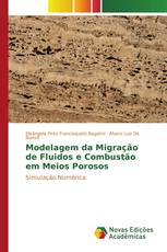 Modelagem da Migração de Fluidos e Combustão em Meios Porosos