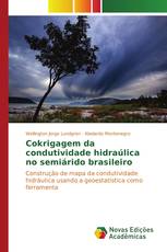 Cokrigagem da condutividade hidraúlica no semiárido brasileiro