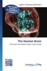The Human Brain