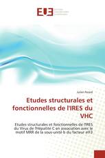 Etudes structurales et fonctionnelles de l'IRES du VHC