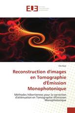 Reconstruction d'images en Tomographie d'Émission Monophotonique