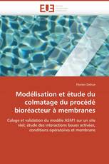 Modélisation et étude du colmatage du procédé bioréacteur à membranes