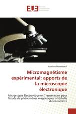 Micromagnétisme expérimental: apports de la microscopie électronique