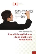 Propriétés algébriques d'une algèbre de convolution