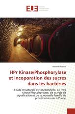 HPr Kinase/Phosphorylase et incoporation des sucres dans les bactéries