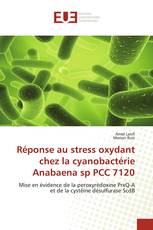 Réponse au stress oxydant chez la cyanobactérie Anabaena sp PCC 7120