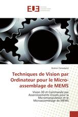 Techniques de Vision par Ordinateur pour le Micro-assemblage de MEMS