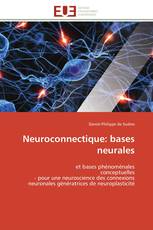 Neuroconnectique: bases neurales