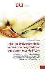 FRET et évaluation de la réparation enzymatique des dommages de l’ADN