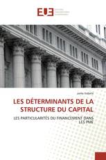 LES DÉTERMINANTS DE LA STRUCTURE DU CAPITAL