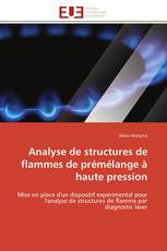 Analyse de structures de flammes de prémélange à haute pression