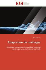 Adaptation de maillages