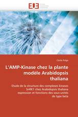 L’AMP-Kinase chez la plante  modèle Arabidopsis thaliana