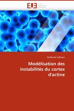 Modélisation des instabilités du cortex d''actine